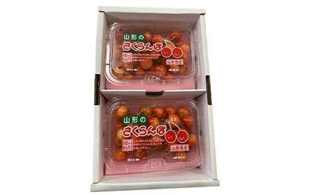 令和9年産【先行受付】山形県産さくらんぼ＜佐藤錦＞秀品 約400g(200g×2P) Lサイズ以上 期間限定 数量限定 山形県産 サクランボ フルーツ 果物 くだもの 贈答 F4A-0963