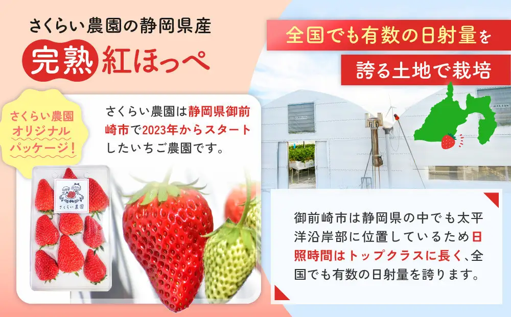 先行受付【静岡県産いちご】完熟紅ほっぺ・きらぴ香2パックセット（300g×2パック）【2027年1月下旬以降発送予定】
