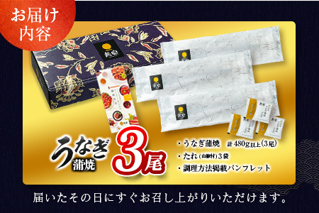 2026年9月配送 鰻楽 うなぎ蒲焼 3尾 C444-2609