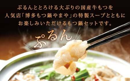 博多もつ鍋やまや もつ鍋セット あごだし醤油味（3～4人前）もつ鍋 モツ鍋 牛もつ鍋 もつ モツ 鍋 鍋セット 醤油 醤油味