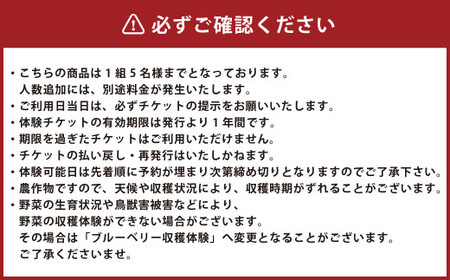 【1組5名まで】 ～自然豊かな久住高原で育った野菜の収穫体験～ 収穫お野菜のお土産付き！ 【体験期間：毎年7月下旬～9月下旬】