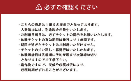 【1組5名まで】 ～自然豊かな久住高原で育ったブルーベリーの収穫体験～ 収穫ブルーベリーのお土産付き！ 【体験期間：毎年6月下旬～8月下旬】