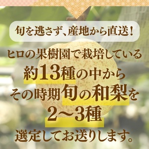 【ふるさと納税】＜梨 詰め合わせ 品種おまかせ 約3kg（3～7玉）和梨 ヒロの果樹園 ＞ なし fruit フレッシュ 旬 果物 くだもの 高知県 佐川町産【常温】＜2025年7月下旬～8月上旬以降発送＞