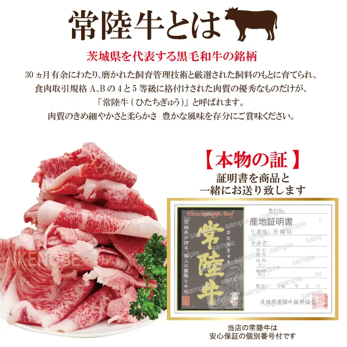 牛肉 切り落し 計1kg  [500g×2パック]  国産 霜降り すき焼き 常陸牛 A5等級 【切り落し】