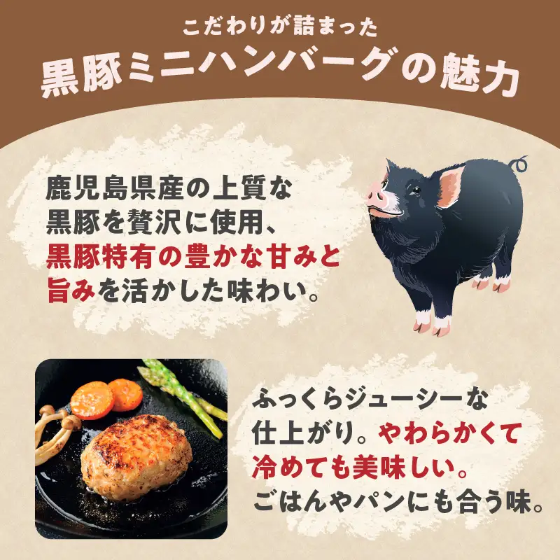 鹿児島県産 黒豚 ミニハンバーグ 12パック K356-004 肉 豚肉 惣菜 総菜 冷凍