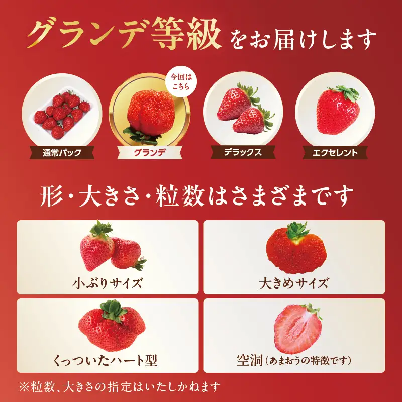 【先行受付：2027年2月発送開始】博多あまおうＧ250g×4パック 1000g アフター保証 数量限定 大きめ果実のあまおう 002-003-F