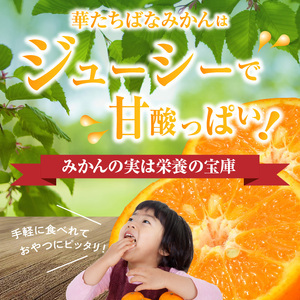 2026年12月発送開始】華たちばなみかん 5kg｜JAふくおか八女 蜜柑