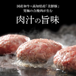 塩仕込みハンバーグ 2個入り 黄金しょうがソース付 1袋 
