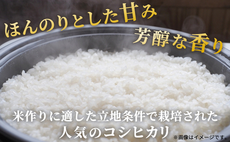 ＜令和7年産 愛媛県西予市産 コシヒカリ 5kg＞ 5キロ こしひかり 国産 宇和米 お米 コメ ライス こめ ごはん 白米 精米 米 西予応援米 愛媛県産 宇和町産 KAZUファーム 愛媛県 西予市【常温】『2025年10月～12月に順次発送予定』UKF0001