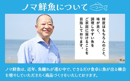 【定期便】鮮度抜群！旬の鮮魚おまかせセット 食べきり6パック セット ※北海道・沖縄・離島への配送不可