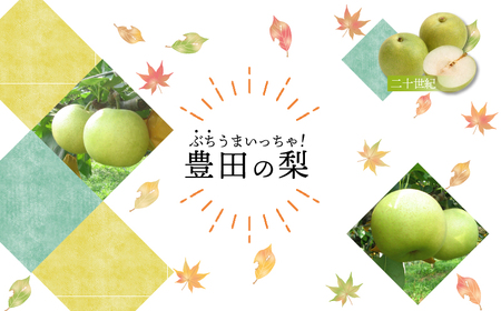 【数量限定】梨 5kg 20世紀 梨 FQ005