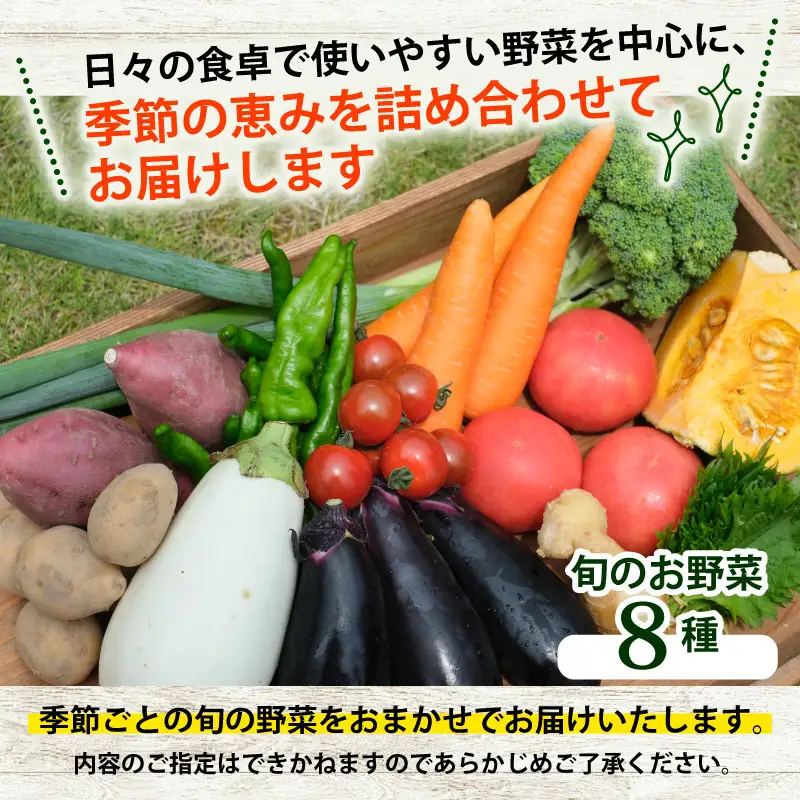 【3回定期便】旬のお野菜詰め合わせセット 卵 6個付 野菜