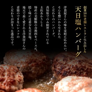 食べ比べ！完全天日塩仕込みハンバーグ3種各4個セット 完全天日塩 特製デミグラス 黄金しょうがソース付き