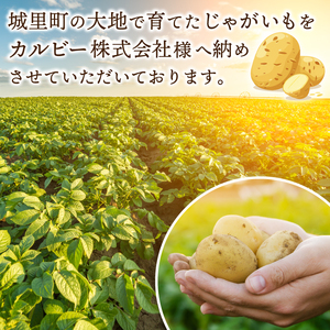 ポテトチップス 堅あげポテト カルビー ブラックペッパー 65g×12袋 (BG031)