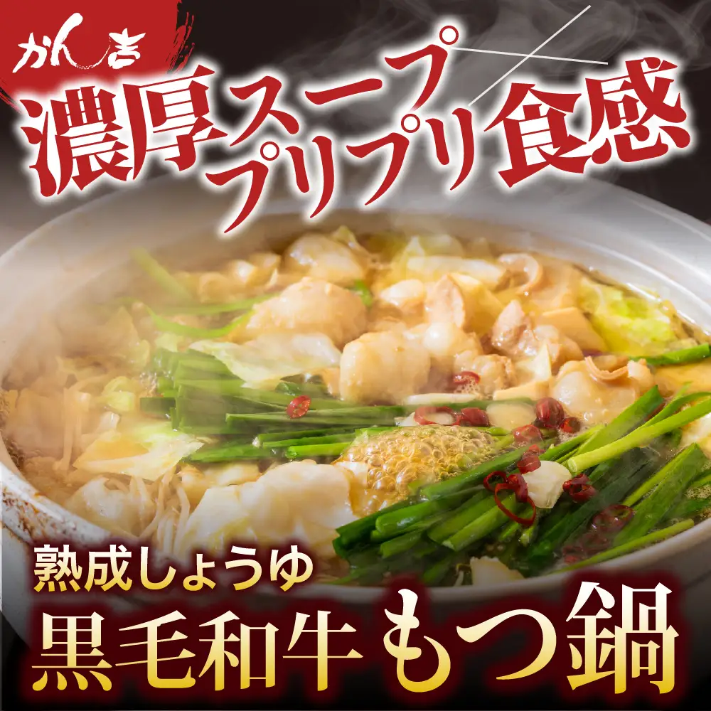 黒毛和牛　牛もつ鍋セット　熟成しょうゆ味（2～3人前セット）