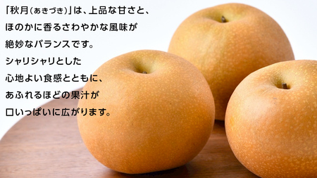 あきづき 梨 5kg （8～12玉）【2026年10月より発送開始】（茨城県共通返礼品 [梨]：大子町産）