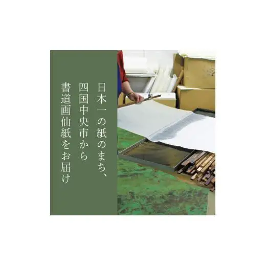 練習用半紙 墨仙
