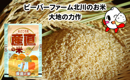 ゆめぴりか 玄米 北海道産 ゆめぴりか【10kg】