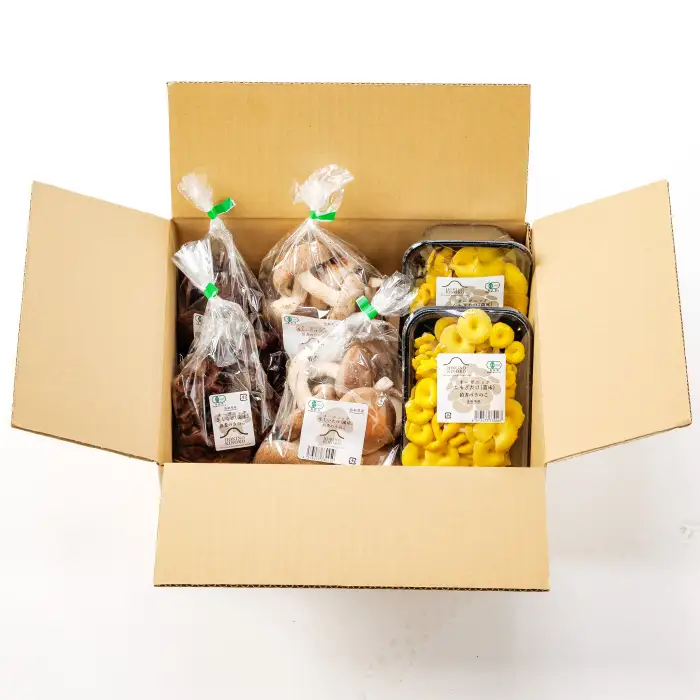 プロが厳選！オーガニックきのこ３種盛り(1kg)【しいたけ きくらげ ひらたけ たもぎたけ なめこ 黒あわびたけ やまぶしたけ おまかせ 厳選】