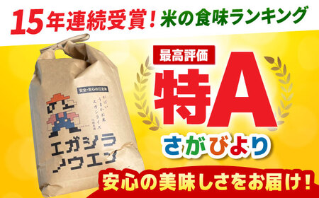【12月発送】令和7年産 さがびより 玄米 10kg（5kg×2袋）【江頭農園】 [HAU003] 特A  げんまい
