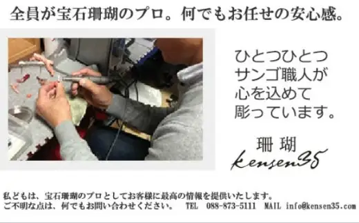 赤珊瑚とオニキスのロングデザインネックレス アクセサリー ネックレス ジュエリー 珊瑚 kn124 FN-Limited-PR