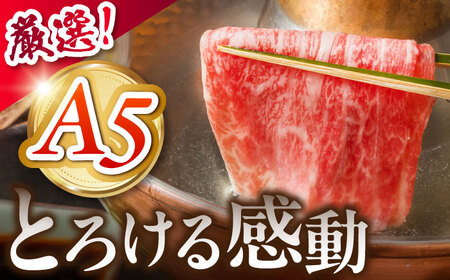 《冷蔵》 【A5等級】 飛騨牛 ロース しゃぶしゃぶ 450g 多治見市 / 肉の沖村 A5 牛肉 ギフト 贈り物[THI004]