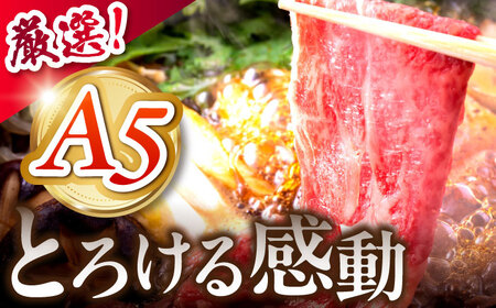 《冷蔵》 【A5等級】 飛騨牛 ロース すき焼き 450g 多治見市 / 肉の沖村 A5 牛肉 ギフト 贈り物[THI006]