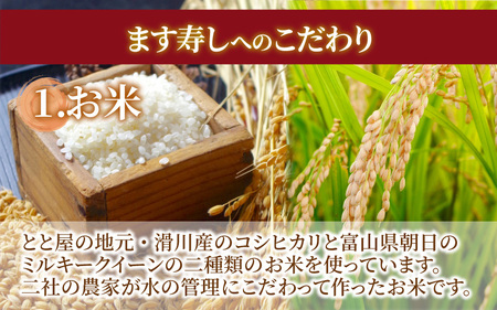 冷凍ます寿し2段【本州のみ発送】 | 鱒 マス 寿司 鮨 すし ますずし 真空パック 620g