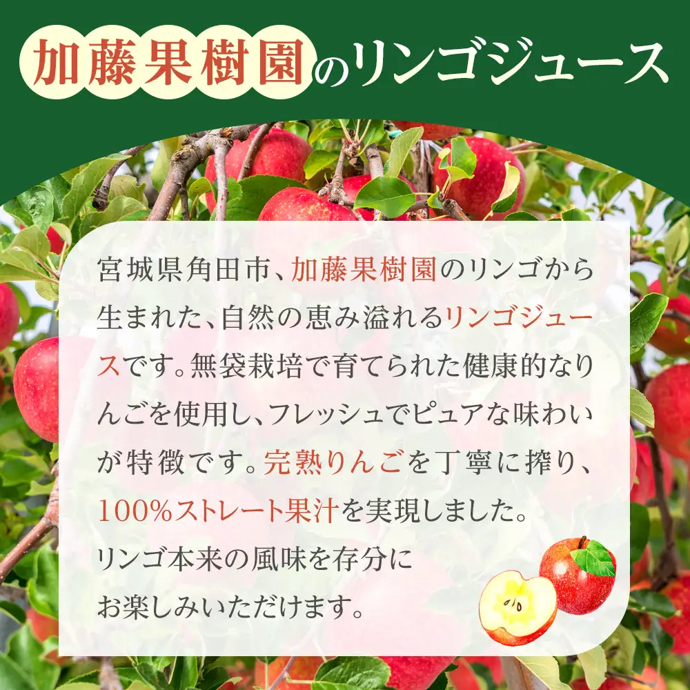 【角田市産りんご使用】 田舎りんご （りんご100％ストレートジュース）１L×１本