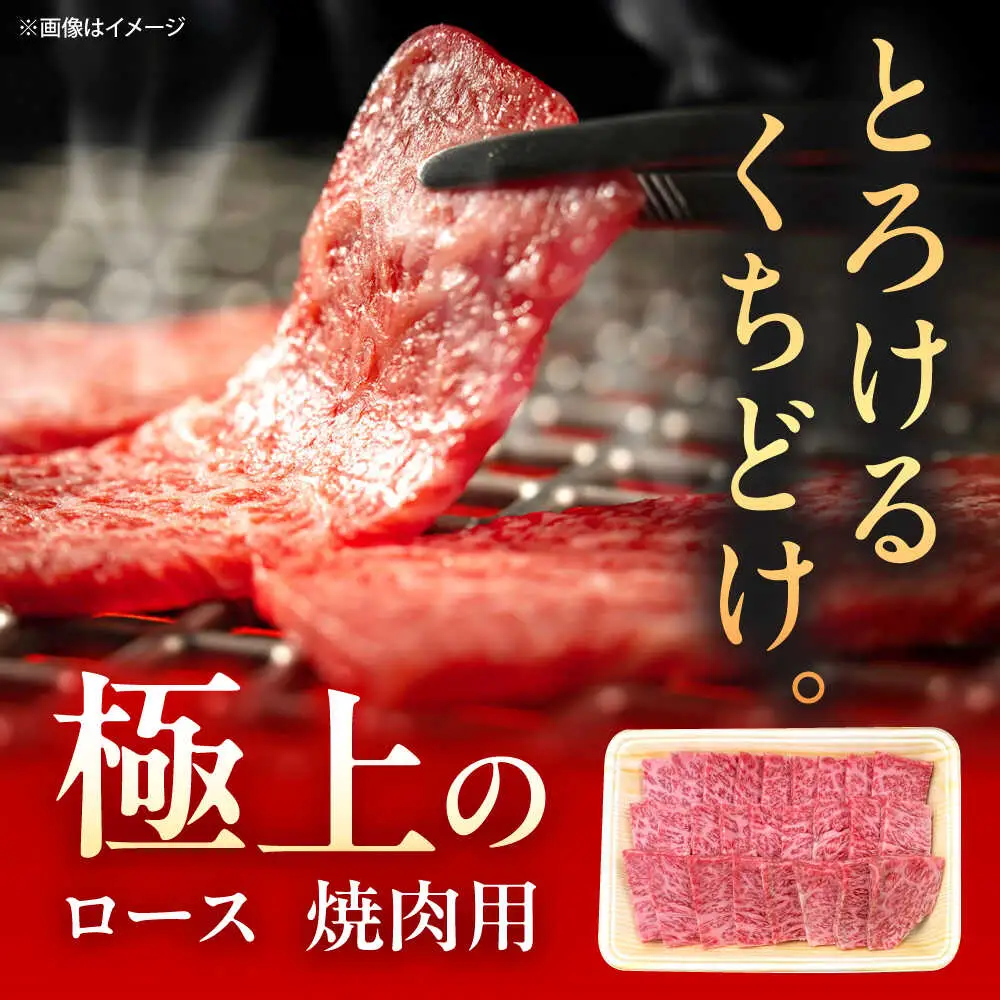 【3回定期便】佐賀牛 ロース 焼肉用 500g /MKミート武雄[UEM055] 焼肉