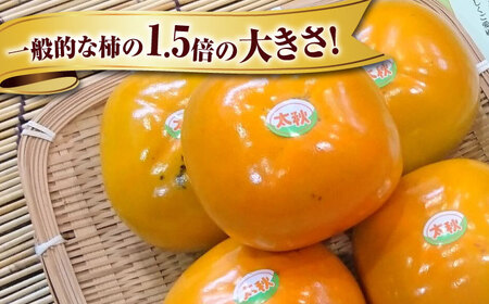 太秋柿「黒田如水柿」9個セット [AQBY001] 柿 かき フルーツ 果物