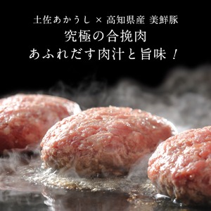 幻のあかうし和牛ハンバーグ 44個入り 1個120g 田野屋青蜂 白鯆 完全天日塩練り込み