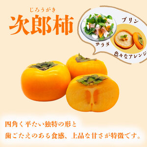 柿 【数量限定】次郎柿 3kg  牧之原市 静岡県
