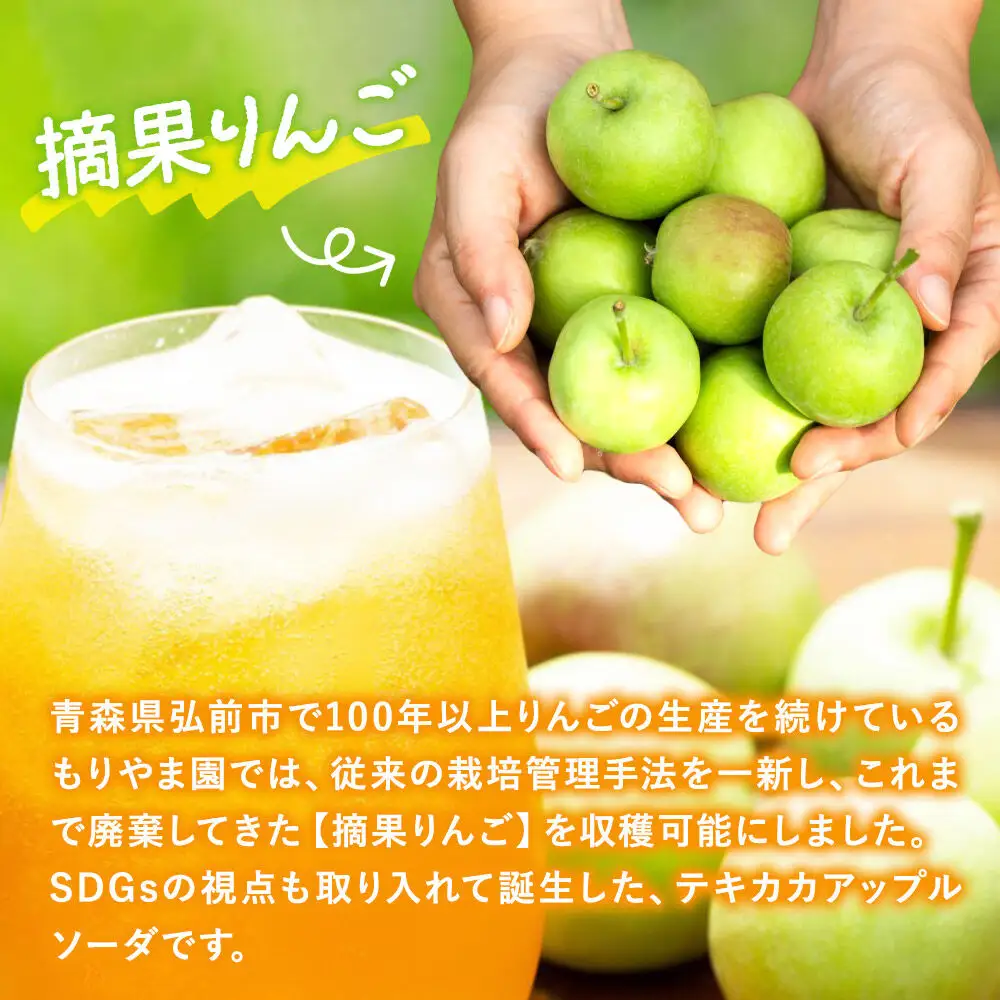 摘果りんごのアップサイクルドリンク テキカカアップルソーダ 330ml×24本 もりやま園 青森 弘前 林檎 リンゴ