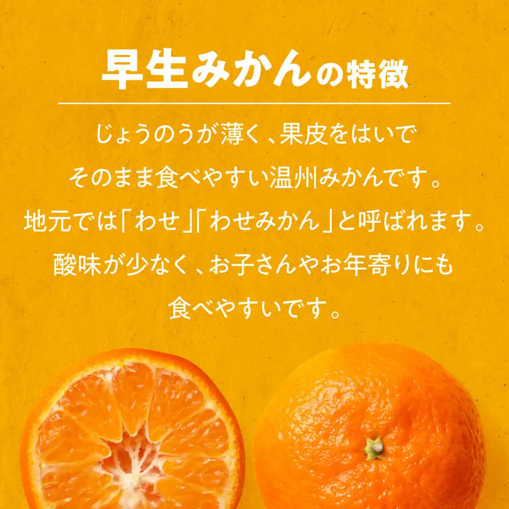 みかん【11月中旬から順次発送】温州みかん（早生）10kg みかん[AGAW017]