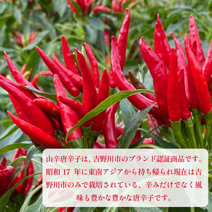 【 山辛唐辛子 】 唐辛子 粉末 実 各15g ｜ 唐辛子