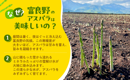 グリーンアスパラ 富良野産 清水農園 採れたて【約1kg M～L混合】【先行予約】
