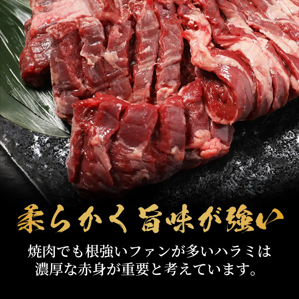 厚切り 牛 ハラミ ステーキ 500g 焼肉 軟化加工 067-0678