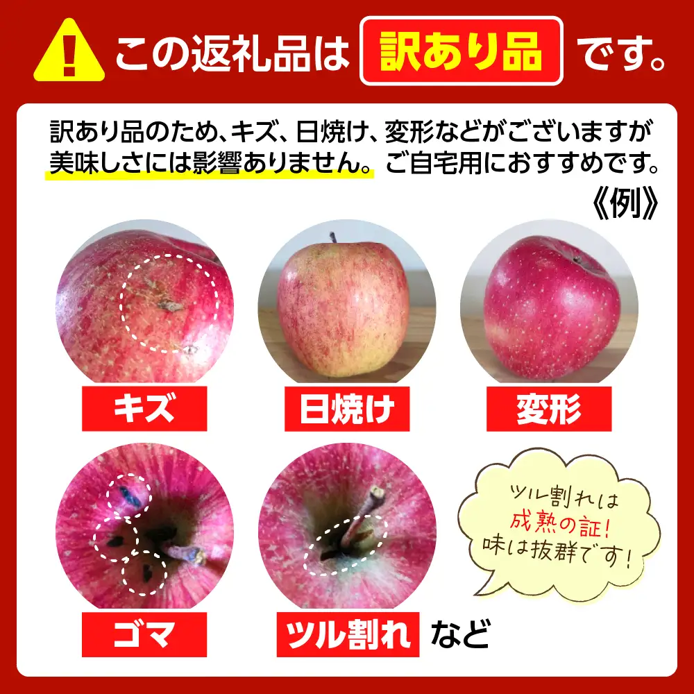 【2026年11月下旬発送】 青森りんご 約5kg サンふじ 《訳あり》 りんご