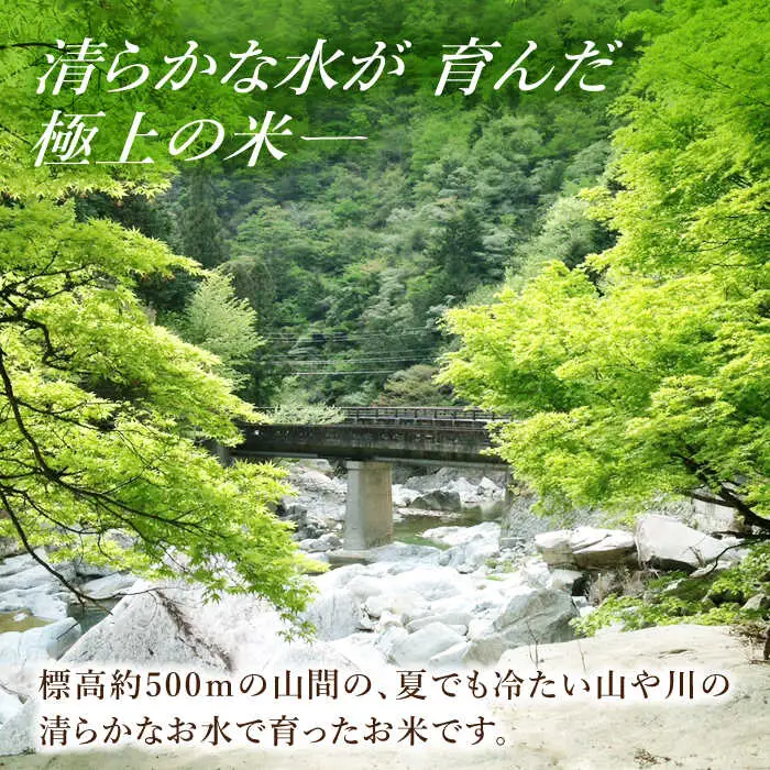 米【R7年産】コシヒカリ 5kg 白川町 / S.K.C[AWAX001]