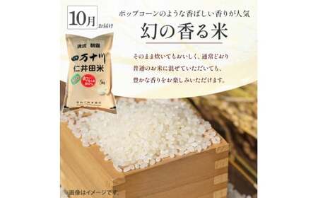 【令和8年産/予約受付】 樽井商店の仁井田米 5kg 3回お届け便(10月～12月) Sbti-Z03／お米 ヒノヒカリ にこまる