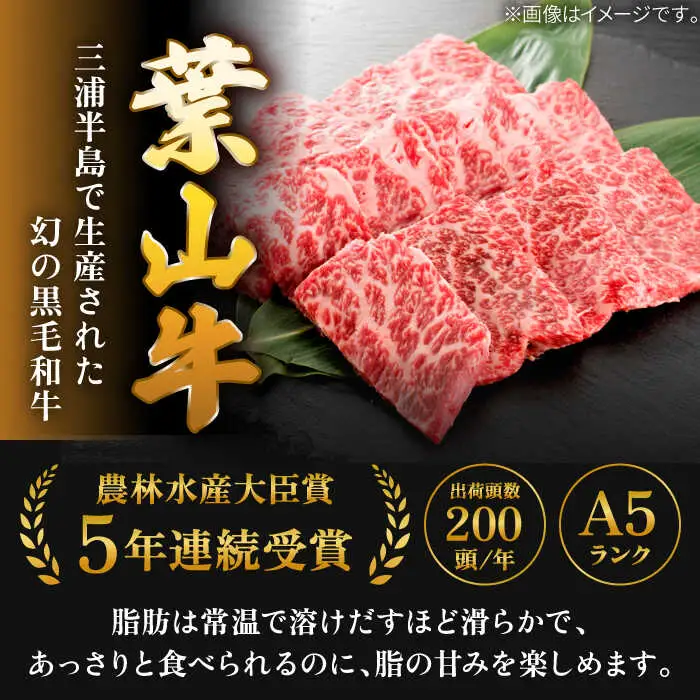 葉山牛 上カルビ500g／ カルビ [ASAP025]