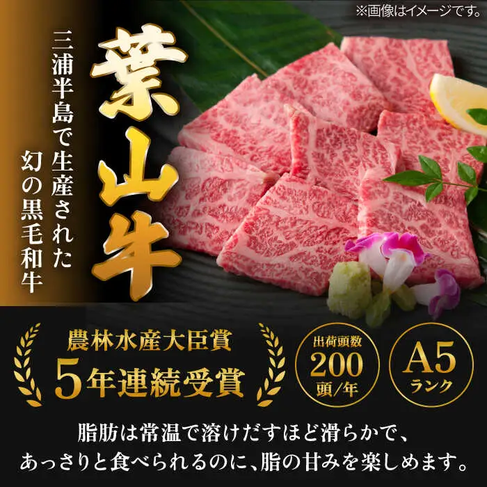 葉山牛 上カルビ500gカルビ500g ／ カルビ 上カルビ[ASAP028]