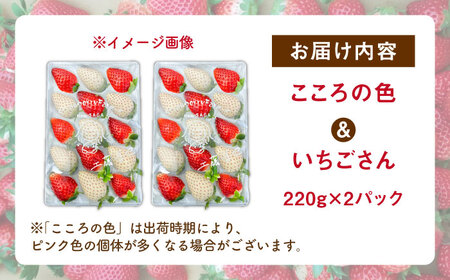 先行予約 2027年1月〜発送  こころの色×いちごさんミックス 紅白いちごセット 計440g / いちご [IBJ026]