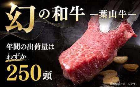 葉山牛 900g　焼肉ミックス・ローストビーフ ／ 焼肉 焼き肉 ローストビーフ [ASBD005]