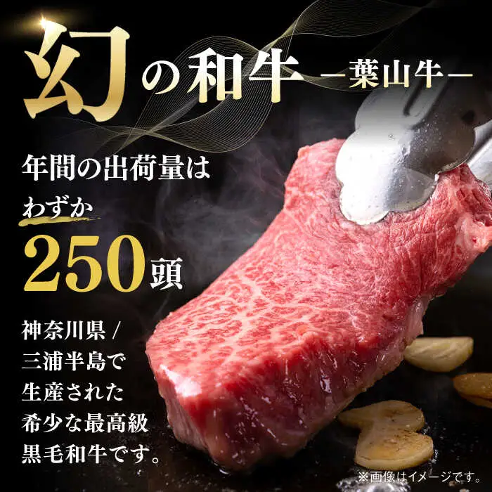 葉山牛 1kg　焼肉用ミックス  ／ 焼肉   [ASBD013]