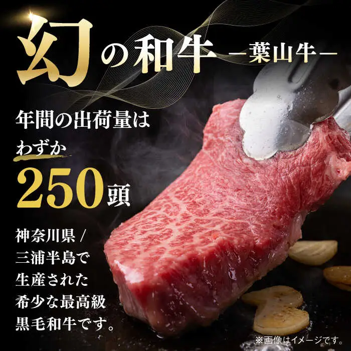 葉山牛 サーロインステーキ 250g×1枚 サーロイン [ASBD016]
