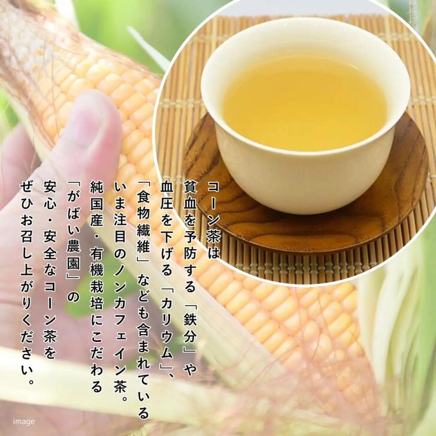有機栽培 コーン茶 純国産 健康茶：A095-017