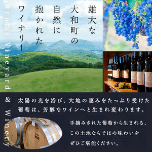 了美ワイン ゼフィール オルディネール 750ml×1本 白ワイン シャルドネ 甲州 ドライ ぶどう ブドウ アルコール 限定 宮城県産 みらいファームやまと 【了美ワイナリー】ta564