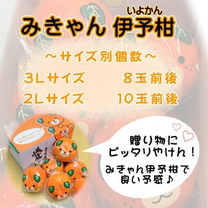 【2027年2月上旬頃から順次発送】 みきゃんいよかん 2kg｜ いよかん 伊予柑 イヨカン みきゃん 柑橘 取り寄せ 甘いみかん ギフト 愛媛県産 ミカン みかん mikan 蜜柑 フルーツ 果物 くだもの お取り寄せ 産地直送 数量限定 人気 おすすめ 送料無料 贈答 ギフト 愛媛県 松山市【SSK020】